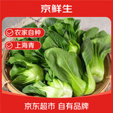 京鲜生上海青 新鲜小油菜 净重2.5斤 简装 新鲜蔬菜源头直发