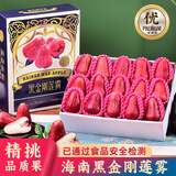 优味集 海南黑金刚莲雾【京东鲜送-送货上门】新鲜应季水果礼盒孕妇生鲜 3斤礼盒丨商超5A大果（100g+）丨9-15颗果