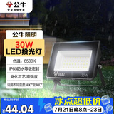 公牛（BULL）LED投光灯户外庭院工厂园林灯露营灯 IP65防水等级30W-6500K白光