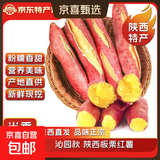 2026新鲜陕西临潼板栗红薯黄心番薯粉糯香甜小香薯时令蔬菜 5斤中大果净重