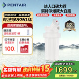 滨特尔（pentair）大白瓶前置过滤器 全屋家用自来水过滤器 前置净水器大蓝瓶 中央净水机大流量大胖瓶高精度 【10寸大白瓶】包安装