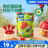 小鹿蓝蓝有机山楂棒儿童宝宝零食健康零食  0蔗糖果汁开胃山楂棒棒糖80g