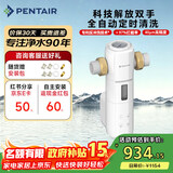 滨特尔（pentair）前置过滤器大通量家用全屋自来水管道过滤器大流量净水器排行前十名水驱涡轮+反冲洗刮洗净水器 【上门安装】S260全自动