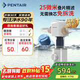 滨特尔（pentair）前置过滤器15T大通量家用25微米仿鳃叠片 全屋自来水管道过滤器大流量净水器排行前十名 【新品升级】L250仿鳃叠片-25μm
