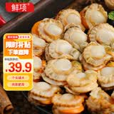 鲜项大号冷冻带黄扇贝肉净重2斤约80-120粒烧烤火锅食材海鲜贝类送礼