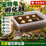 宜品达爬宠种龟蛋孵化器无菌蛭石守宫蛇蛋蜥蜴孵化盒保湿透气乌龟孵化箱 S码孵化器1套 适合6个蛋