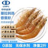 中水远洋进口塞拉利昂香蕉虾海捕船冻锁鲜大虾净重2斤鲜冻40-60只