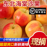 良知农哥 【顺丰】东北特产K9/黄太平海棠果 小沙果 酸甜小苹果 黄太平5斤30g+