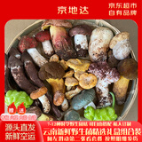 京地达云南新鲜纯野生菌菇+种植菌组合净重2斤礼盒装野生菌菇源头直发