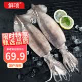 鲜项鲜冻整条大鱿鱼2-4条净重2斤 火锅烧烤食材 海鲜生鲜软足送礼