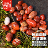 寿禾雨花石天然原石红玛瑙鱼缸造景五彩石 500g樱桃红雨花石0.8-1.5cm