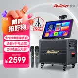 爱浪 D12pro家庭ktv音响设备全套卡拉OK点唱机 户外K歌音箱广场舞视频音响麦克风功放一体机