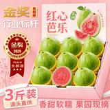 春福乐芭乐红心番石榴新鲜水果5斤当季软甜奶油胭脂红芭乐包邮 3斤优选装【单果100g+】净重2.5斤