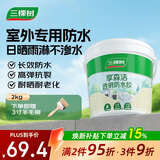 三棵树漆外墙透明防水胶 免砸砖屋顶防水卫生间窗台外墙防水涂料 2kg