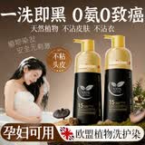 DELIISTON英国染发剂一洗黑染发膏纯天然植物无刺激不沾头皮孕妇可用泡泡染 纯天然-0氨0致癌物【防过敏+全套工具】400ml一瓶