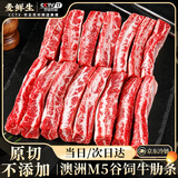 麦鲜生 澳洲和牛M5谷饲牛肋条1kg净重 原切雪花牛肉生鲜贴骨肉烧烤食材