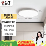 公牛（BULL）吸顶灯IP50防尘防虫卧室阳台过道灯MX-A018C-AS全白18W 