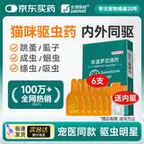 金澳康威非泼罗尼滴剂0.5mlx6支/盒 猫咪用体外驱虫药幼猫跳蚤蜱虫寄生虫