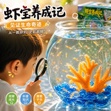 兰酷帕虾宝养成记儿童益智玩具学生科学实验生物观察玩具男女孩生日礼物