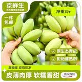 京鲜生广东苹果蕉香蕉净重3斤装 生鲜水果米蕉粉蕉  源头直发