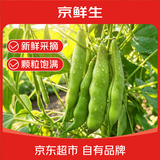 京鲜生东北新鲜油豆角4.5斤装新鲜蔬菜源头直发包邮