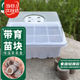 寿禾 穴盘育苗盘育苗盒带排气阀透气 潍育育苗盒白色12穴+12个育苗块