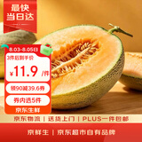 京鲜生 新疆哈密瓜/西州蜜 1粒 单果2.5斤起 生鲜水果