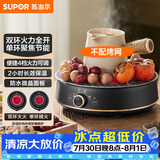 苏泊尔（SUPOR）迷你电陶炉 煮茶器煮茶炉煮茶壶 养生围炉煮茶泡茶办公家用不挑器具SW-DTL05