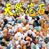 派乐特鱼缸底砂造景石头子五彩石溪流石水族箱龟缸多肉装饰彩色雨花五斤