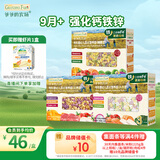 爷爷的农场有机婴儿面条600g（贝壳面＋片片面＋蝴蝶面）9月+钙铁锌宝宝面条