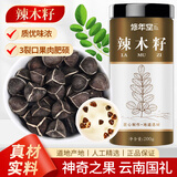 修年堂辣木籽200g 精选颗粒饱满辣木子黑壳白果仁 泡水熬粥煲汤 养生茶
