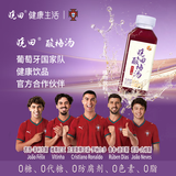 晓田酸梅汤365ml*16瓶0防腐剂0代糖0卡健康植物饮料