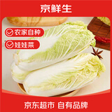 京鲜生新鲜小娃娃菜 净重2.5斤 简装 新鲜蔬菜源头直发