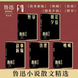 鲁迅小说散文集 朝花夕拾 野草 呐喊 彷徨 故事新编 套装共5册