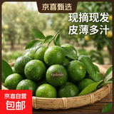 海南小金桔青桔新鲜青柠檬青柑皮薄应季当季水果柠檬新鲜整件免邮 小青柠（中果5g起） 100g