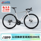 喜德盛（xds）公路自行车2025款RC300碟刹走线车架 16速 银灰色 480MM