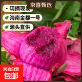 海南红心火龙果金都一号装新鲜采摘现摘现发 【促销超值】3粒装(单果200g+）
