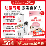 皇家幼猫猫粮 幼猫奶糕 K36 通用粮 4-12月 10KG