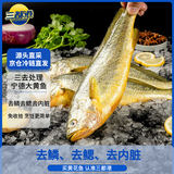 三都港 冷冻三去黄花鱼700g/2条装 大黄鱼 生鲜 鱼类 深海鱼 海鲜水产