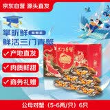 【活蟹】掌昕鲜三门青蟹 公母对蟹（5-6两/只）6只 海鲜活螃蟹毕业答谢送礼盒 源头直发