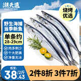 潮夫道秋刀鱼净重2斤野生海捕高蛋白冷冻生鲜烧烤食材深海鱼类纯鱼肉