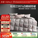 水星家纺羽绒被95%白鹅绒被子冬季加厚冬被芯双人羽绒被220cm×240cm1200g
