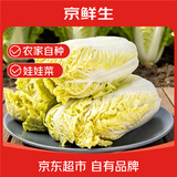 京鲜生新鲜大娃娃菜 净重2.5斤 简装 新鲜蔬菜源头直发