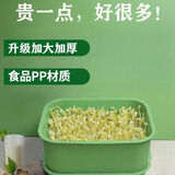 伟照业豆芽发芽盆家用自制豆芽机发豆芽花生芽专用盆黄豆绿豆发芽神器 【标准款】24*17*12cm*1套（可发1.5斤豆芽/豌豆苗）