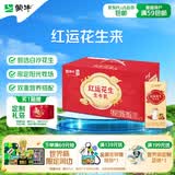 蒙牛牛奶花生双蛋白饮品苗条装200ml×12盒送礼礼盒装