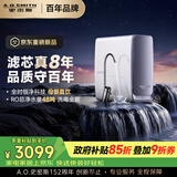 史密斯（A.O.SMITH）佳尼特【26年新品】蓝鲸1000G家用净水器厨房专用台下净水机直饮一体机8年RO膜 CR2500AE3