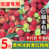 鲜美惊 【顺丰包邮】贵州冰鲜泡酒杨梅力荐五斤冷冻青红果野生杨梅泡酒 4斤【泡酒专用】