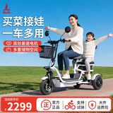 凤凰（Phoenix）Q1亲子电动三轮车家用小型电动摩托车长续航休闲小三轮 【Q1双座】标准款+续航约50公里