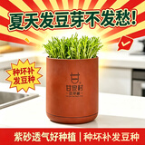 甘泉村食品级紫砂豆芽罐全自动家用豆芽机生豆芽发芽神器土陶罐四季可用 小款紫砂豆芽罐（发2斤豆芽）
