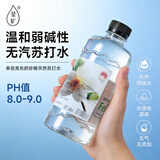 斐矿新品尝鲜克东天然苏打水500ml*12瓶*2箱 24瓶弱碱性地标保护